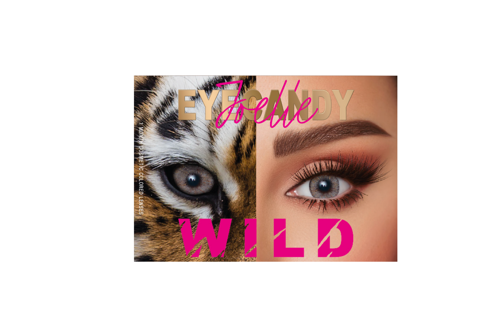 JOELLE | B1 TIGER (B1 Tiger)